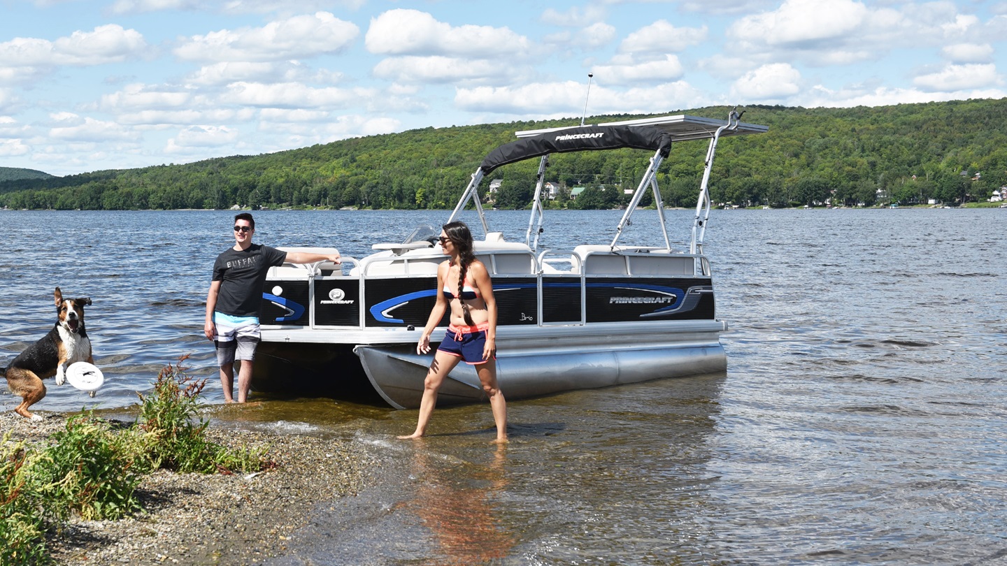 Brio Electric Series